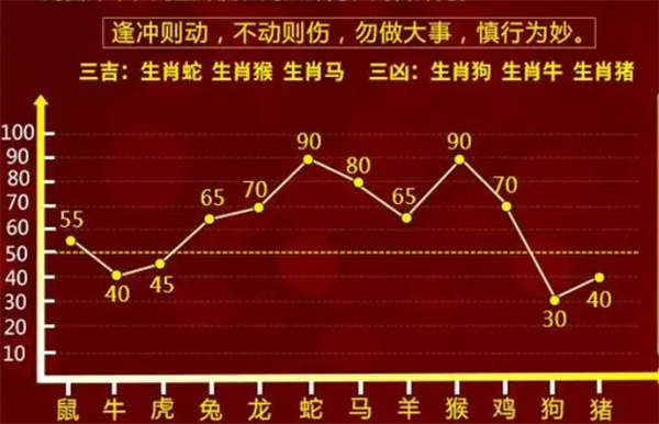 深入解析管家婆一肖一码100，全面释义与最佳精选策略