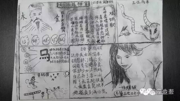 深入解析管家婆白小姐四肖四码，专家意见与最佳精选