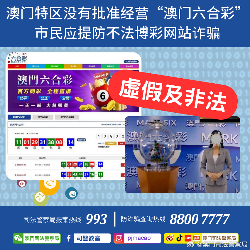 澳门管家婆100，专家意见与最佳精选的深度解析